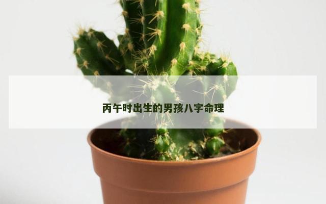 丙午时出生的男孩八字命理