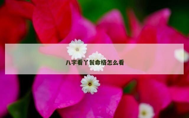 八字看丫鬟命格怎么看