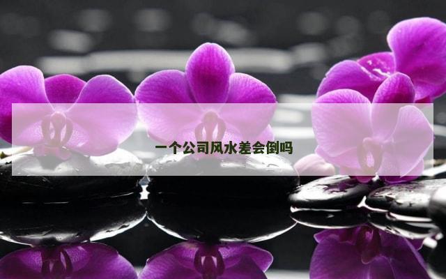 一个公司风水差会倒吗