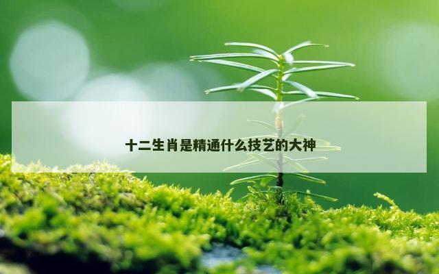 十二生肖是精通什么技艺的大神