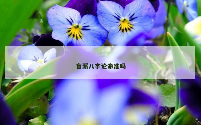 盲派八字论命准吗