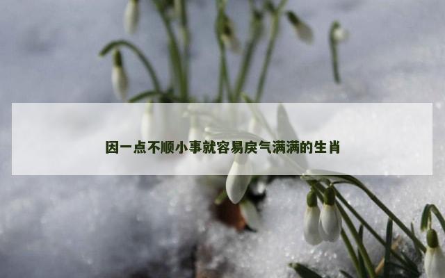 因一点不顺小事就容易戾气满满的生肖