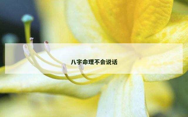 八字命理不会说话