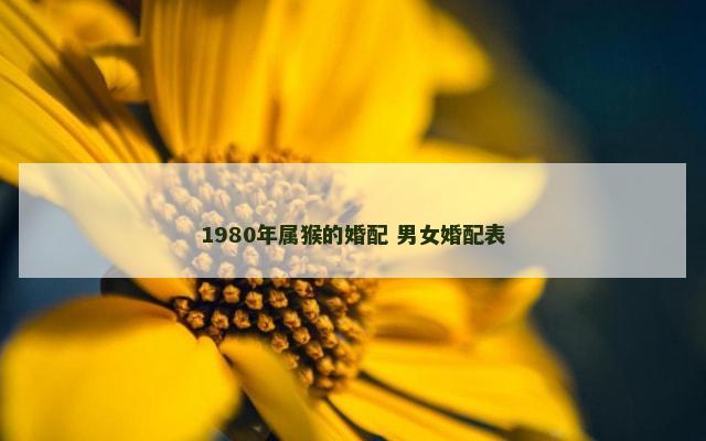 1980年属猴的婚配 男女婚配表