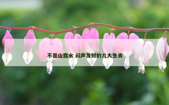 不显山露水 闷声发财的几大生肖
