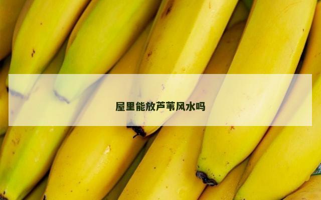 屋里能放芦苇风水吗