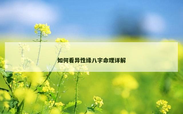 如何看异性缘八字命理详解