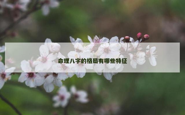 命理八字的格局有哪些特征