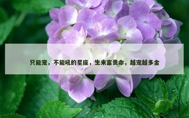 只能宠，不能吼的星座，生来富贵命，越宠越多金