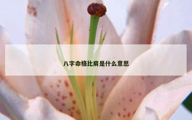 八字命格比肩是什么意思