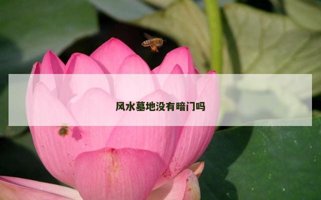 风水墓地没有暗门吗
