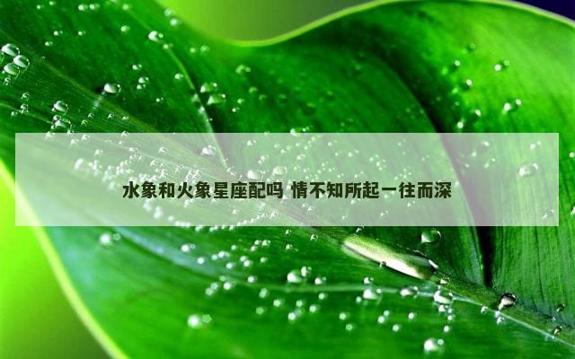 水象和火象星座配吗 情不知所起一往而深