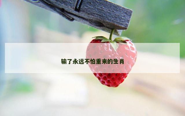 输了永远不怕重来的生肖