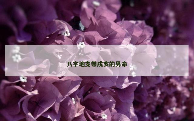 八字地支带戌亥的男命