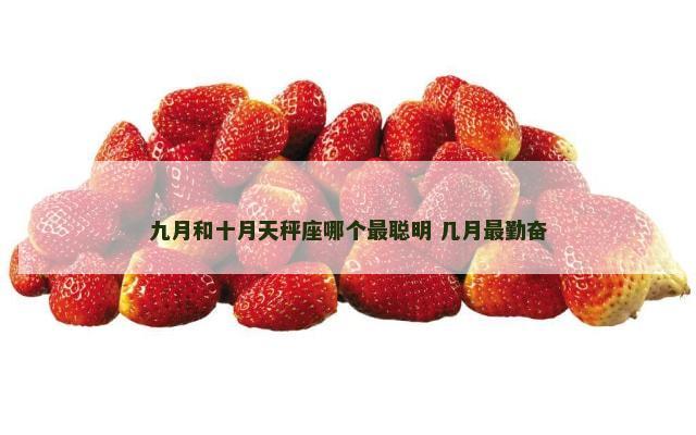 九月和十月天秤座哪个最聪明 几月最勤奋