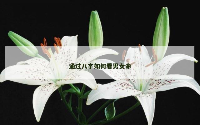 通过八字如何看男女命