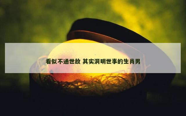 看似不通世故 其实洞明世事的生肖男