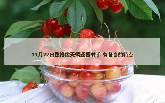 11月22日性格像天蝎还是射手 有各自的特点