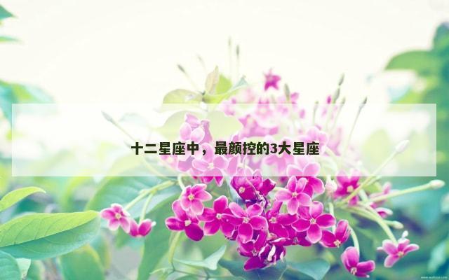 十二星座中，最颜控的3大星座