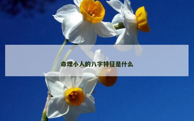 命理小人的八字特征是什么