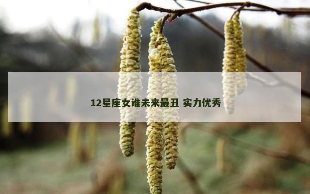 12星座女谁未来最丑 实力优秀