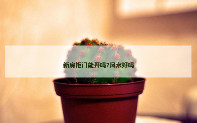 新房柜门能开吗?风水好吗