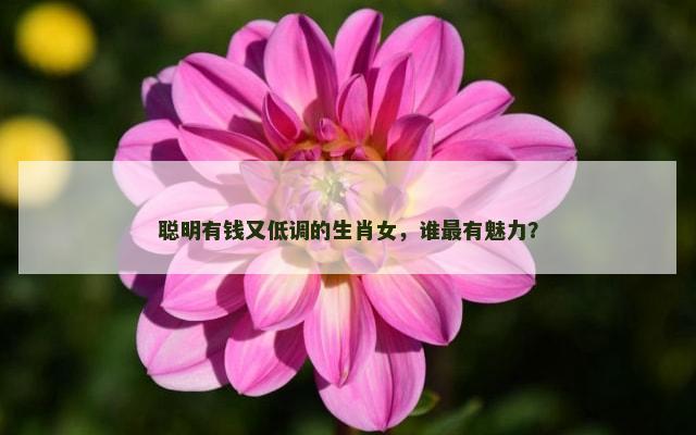 聪明有钱又低调的生肖女，谁最有魅力？