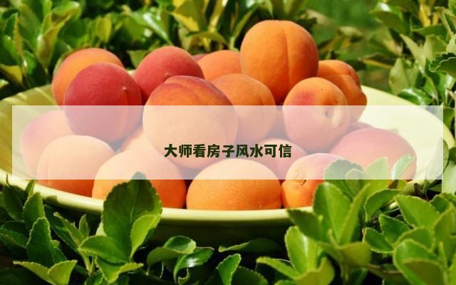 大师看房子风水可信