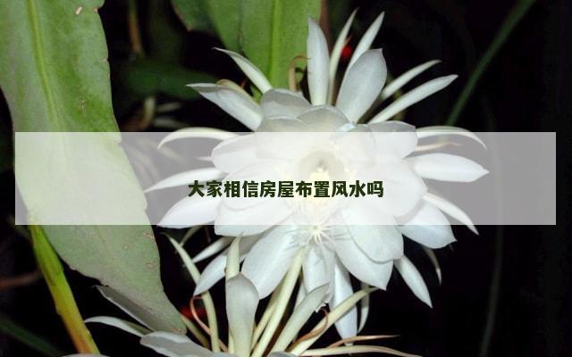 大家相信房屋布置风水吗