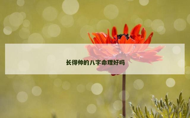 长得帅的八字命理好吗