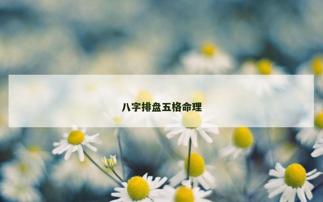 八字排盘五格命理