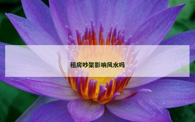 租房吵架影响风水吗