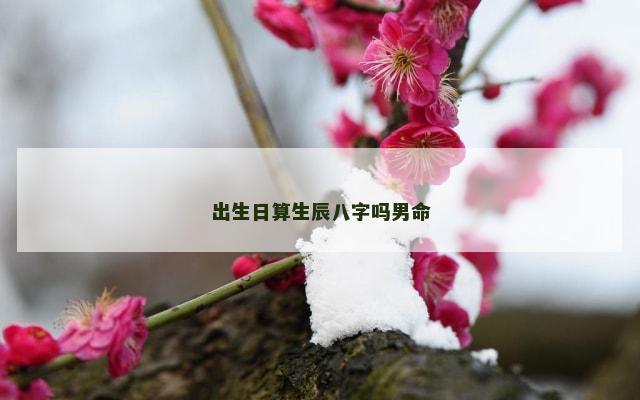出生日算生辰八字吗男命