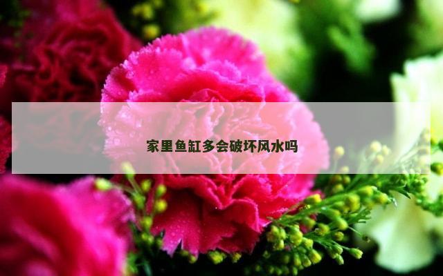 家里鱼缸多会破坏风水吗