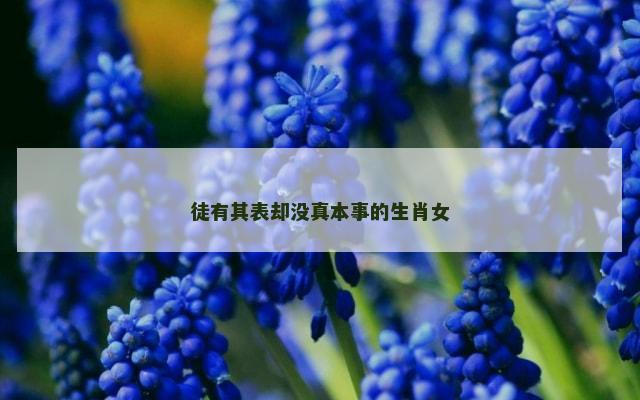 徒有其表却没真本事的生肖女