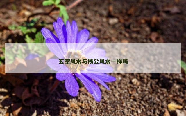 玄空风水与杨公风水一样吗
