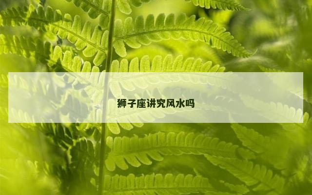 狮子座讲究风水吗
