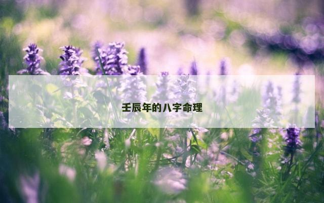 壬辰年的八字命理