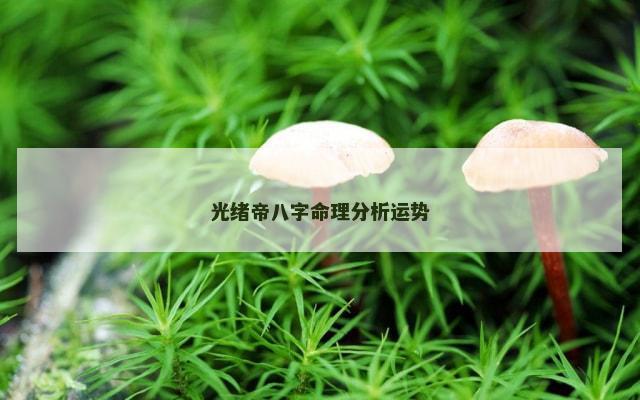 光绪帝八字命理分析运势