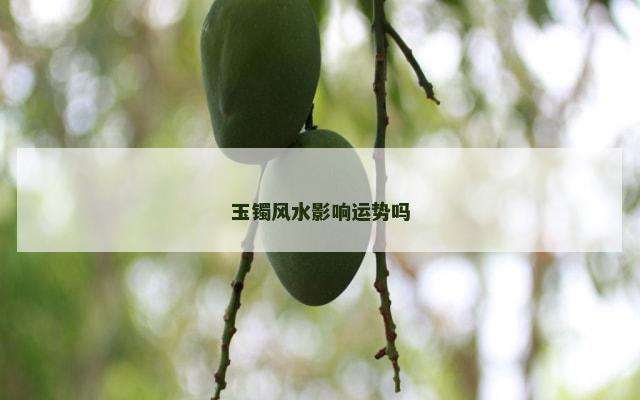 玉镯风水影响运势吗