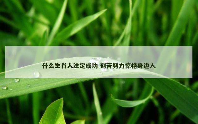 什么生肖人注定成功 刻苦努力惊艳身边人