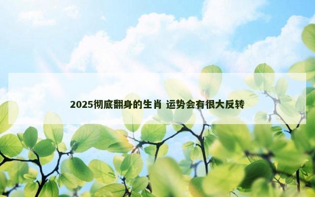 2025彻底翻身的生肖 运势会有很大反转