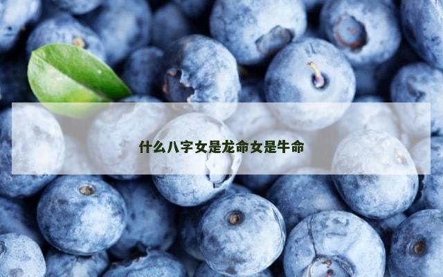 什么八字女是龙命女是牛命