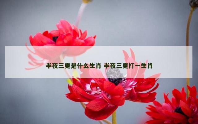 半夜三更是什么生肖 半夜三更打一生肖