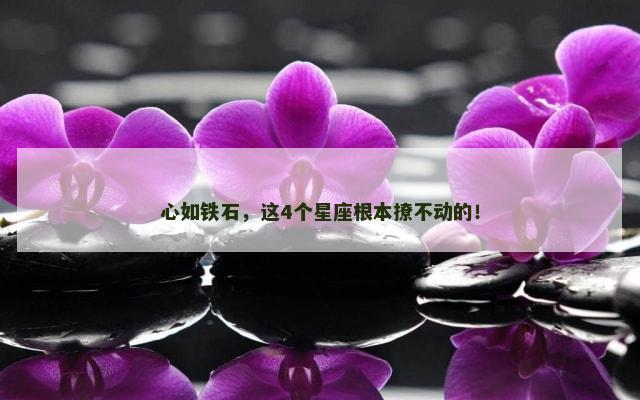 心如铁石，这4个星座根本撩不动的！