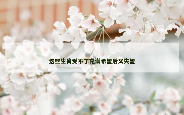 这些生肖受不了充满希望后又失望