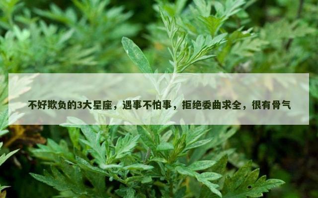 不好欺负的3大星座，遇事不怕事，拒绝委曲求全，很有骨气
