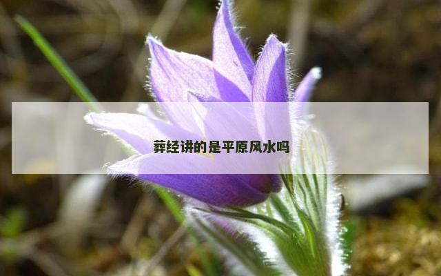 葬经讲的是平原风水吗
