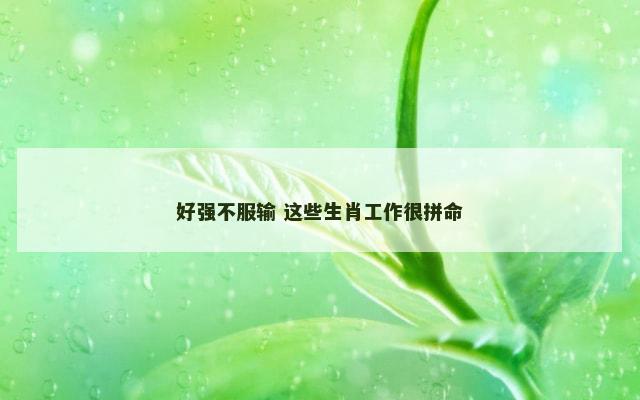 好强不服输 这些生肖工作很拼命