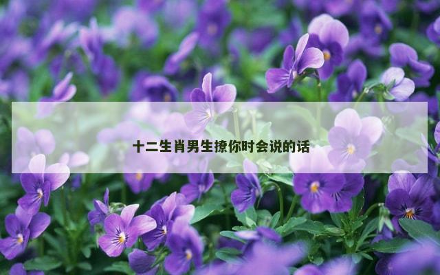 十二生肖男生撩你时会说的话
